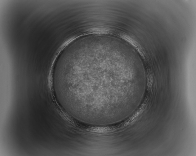 X0000097811074200803201413