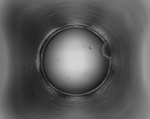 X0000097811076200803201413