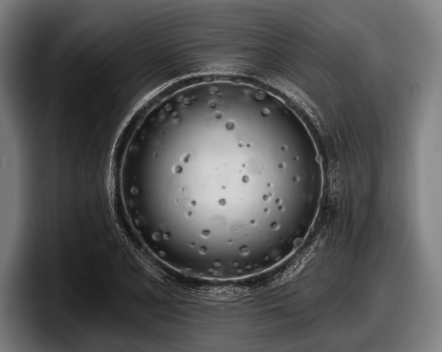 X0000097811077200803201413