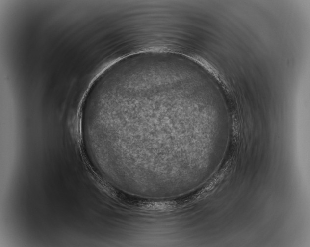 X0000097811078200803201413