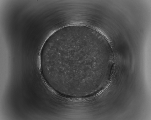 X0000097811079200803201413