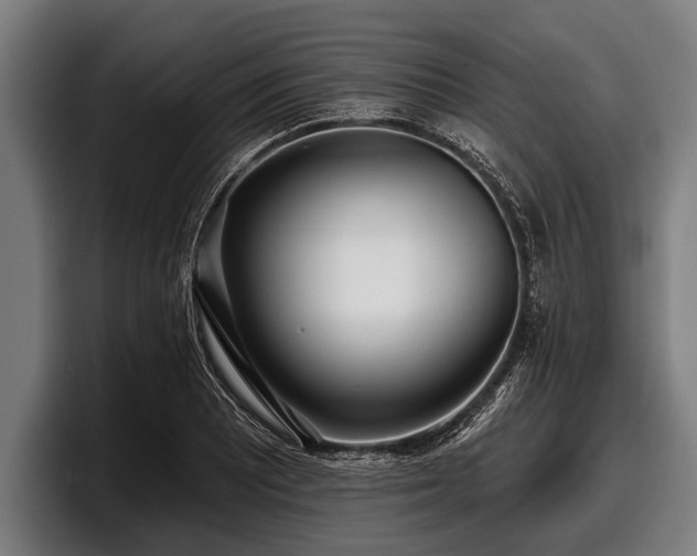 X0000097811081200803201413