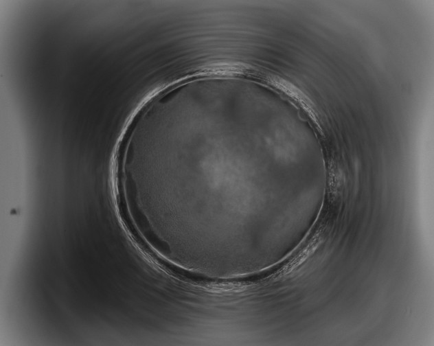 X0000097811083200803201413