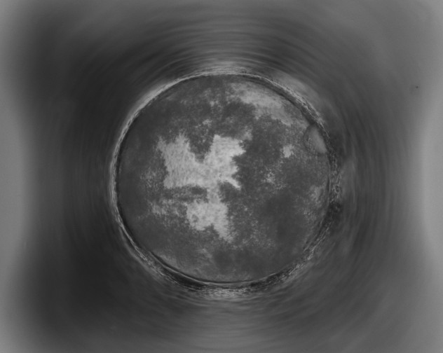 X0000097811086200803201413