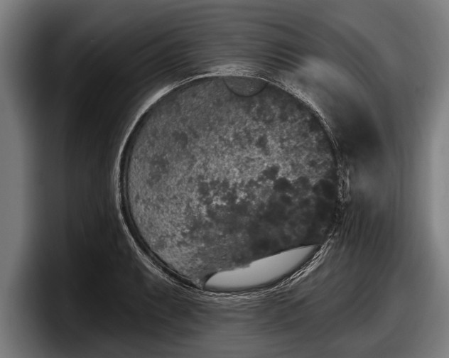 X0000097811087200803201413