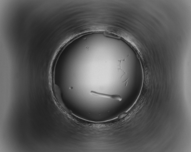 X0000097811088200803201413