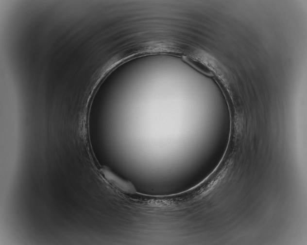 X0000097811089200803201413