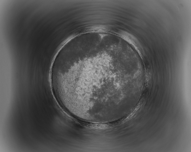 X0000097811090200803201413