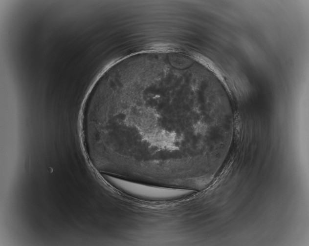 X0000097811091200803201412