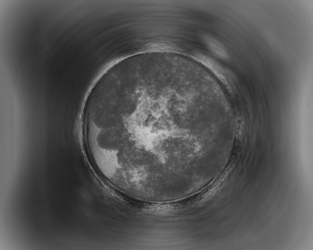 X0000097811094200803201412