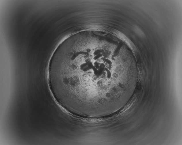 X0000097811095200803201412