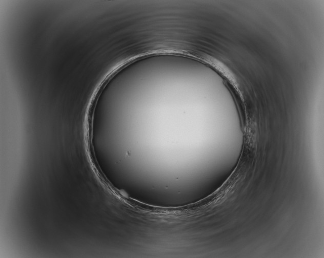 X0000097811096200803201412