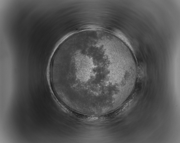 X0000097811098200803201412