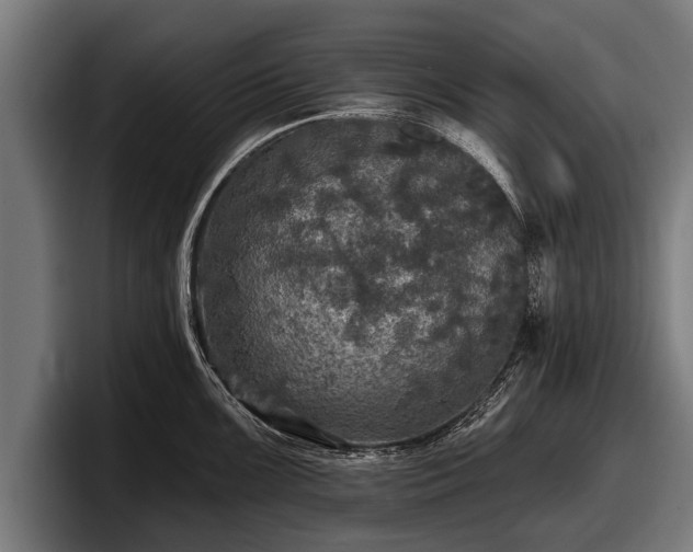 X0000097811099200803201412