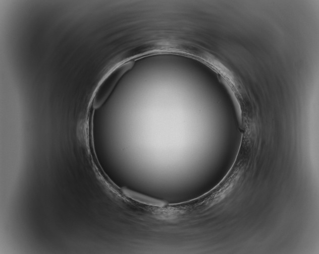 X0000097811100200803201412