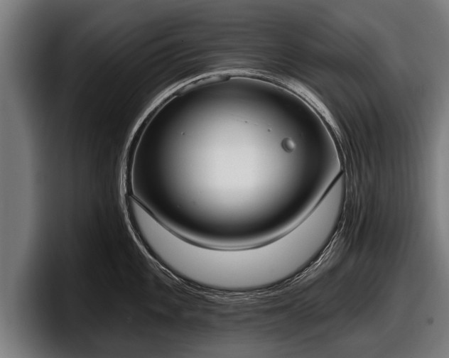 X0000097811101200803201412