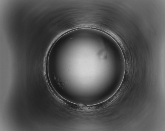 X0000097811102200803201412