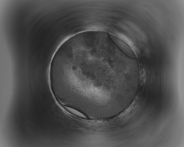 X0000097811103200803201412