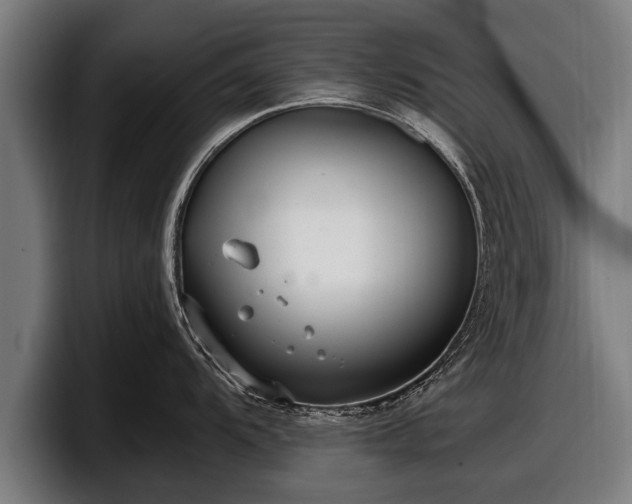 X0000097811104200803201412