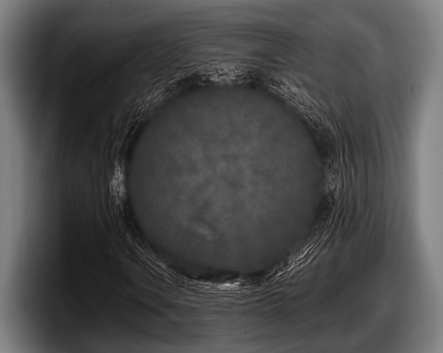 X0000097811106200803201412