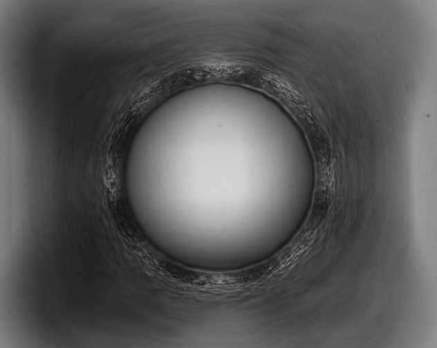 X0000097811109200803201412