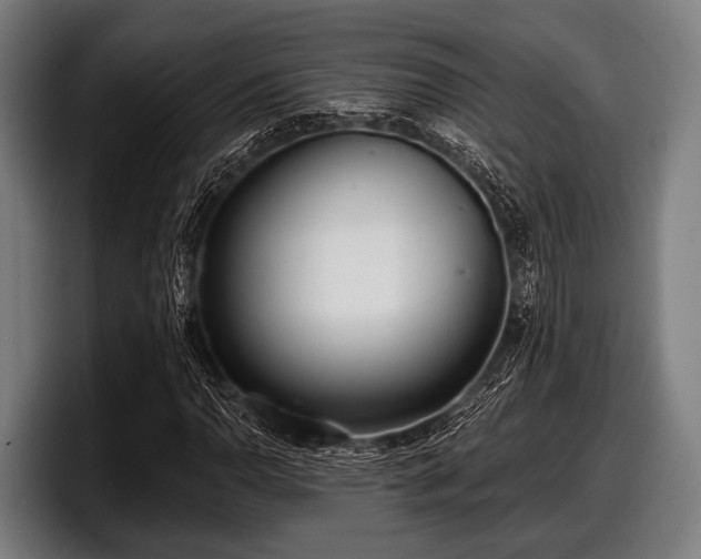 X0000097811110200803201412