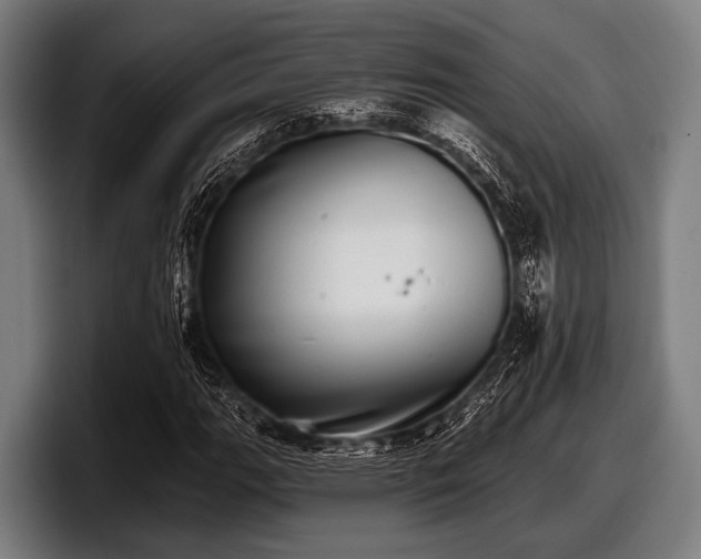 X0000097811111200803201412