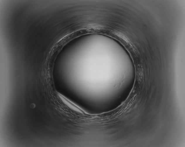 X0000097811112200803201412