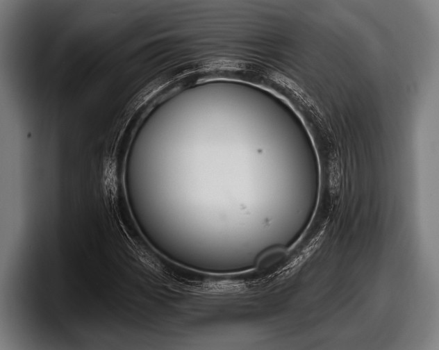 X0000097811113200803201412