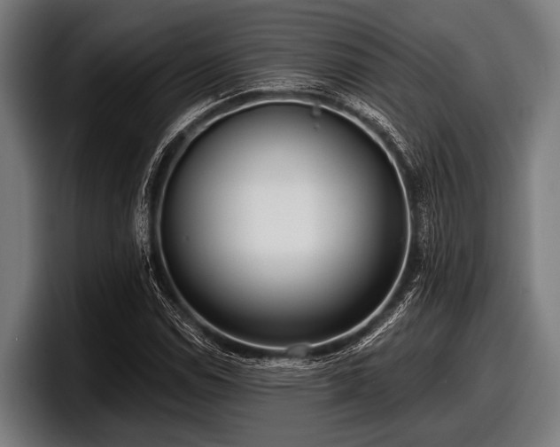 X0000097811114200803201412