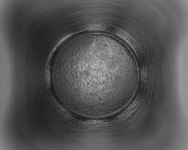 X0000097811115200803201412