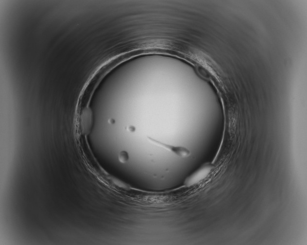 X0000097811116200803201412