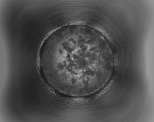 X0000097811117200803201412