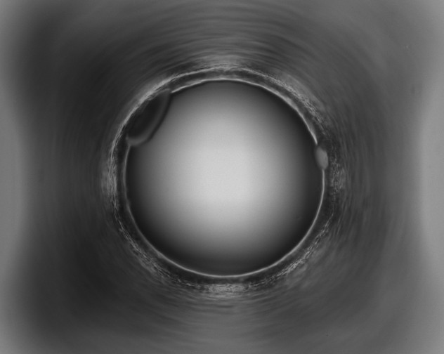 X0000097811118200803201412