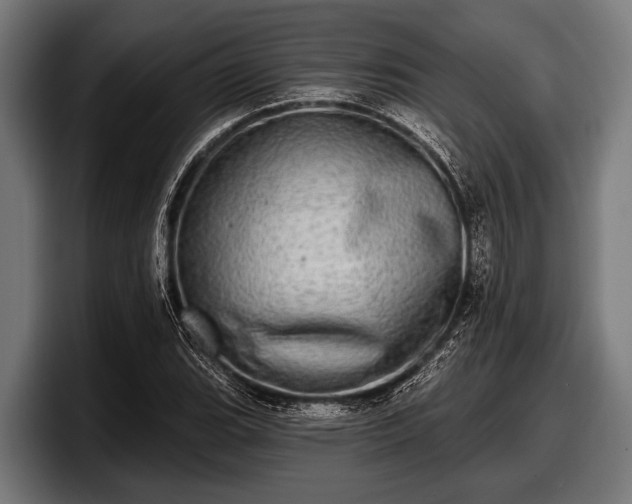 X0000097811119200803201412