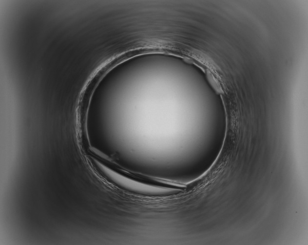 X0000097811120200803201412