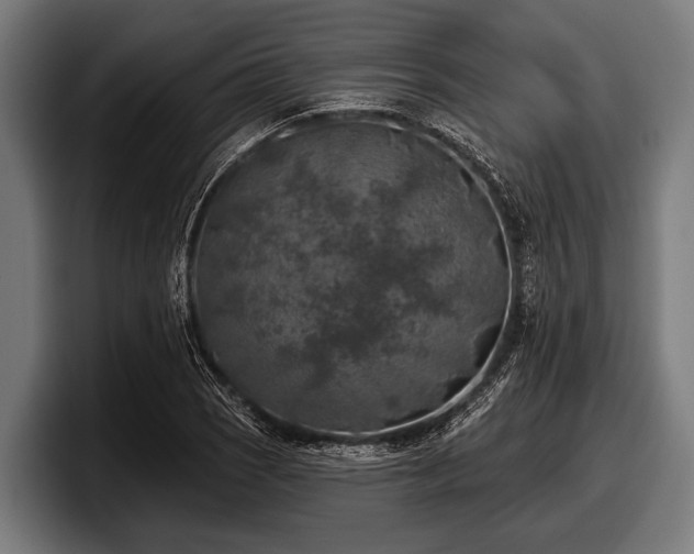 X0000097811121200803201412