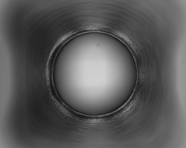 X0000097811122200803201412