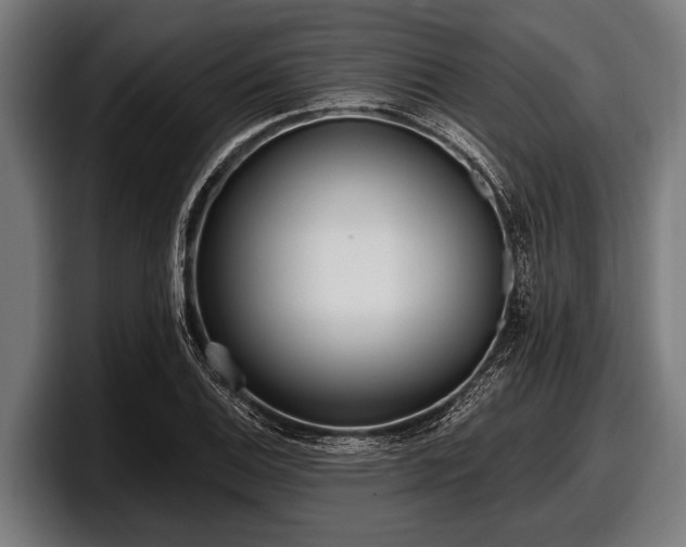 X0000097811124200803201412