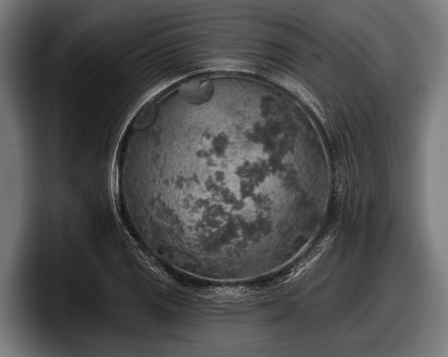 X0000097811125200803201412