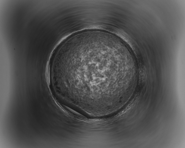 X0000097811127200803201412