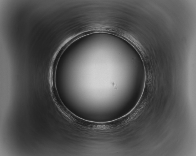 X0000097811128200803201412