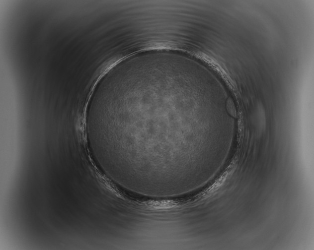 X0000097811129200803201412