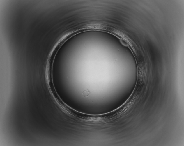 X0000097811131200803201412