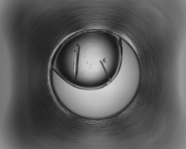 X0000097811132200803201412