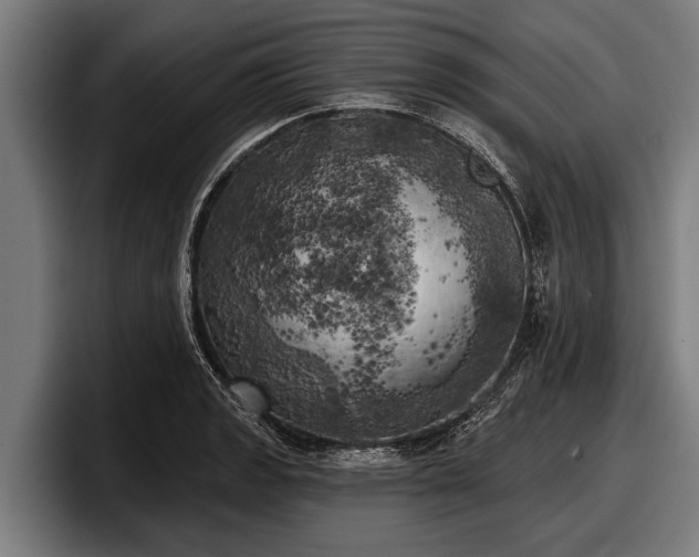 X0000097811133200803201412