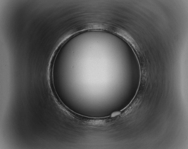 X0000097811135200803201412