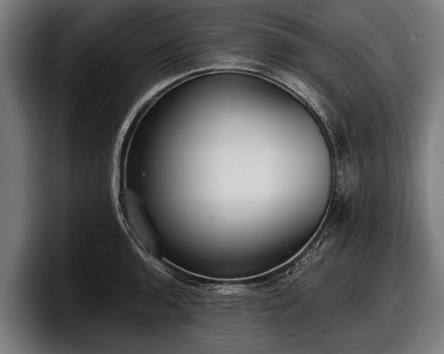 X0000097811136200803201412