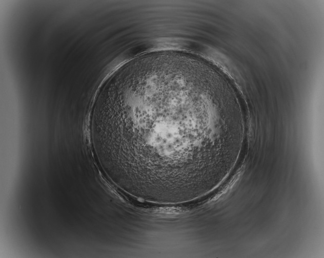 X0000097811137200803201412