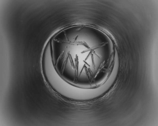 X0000097811138200803201412